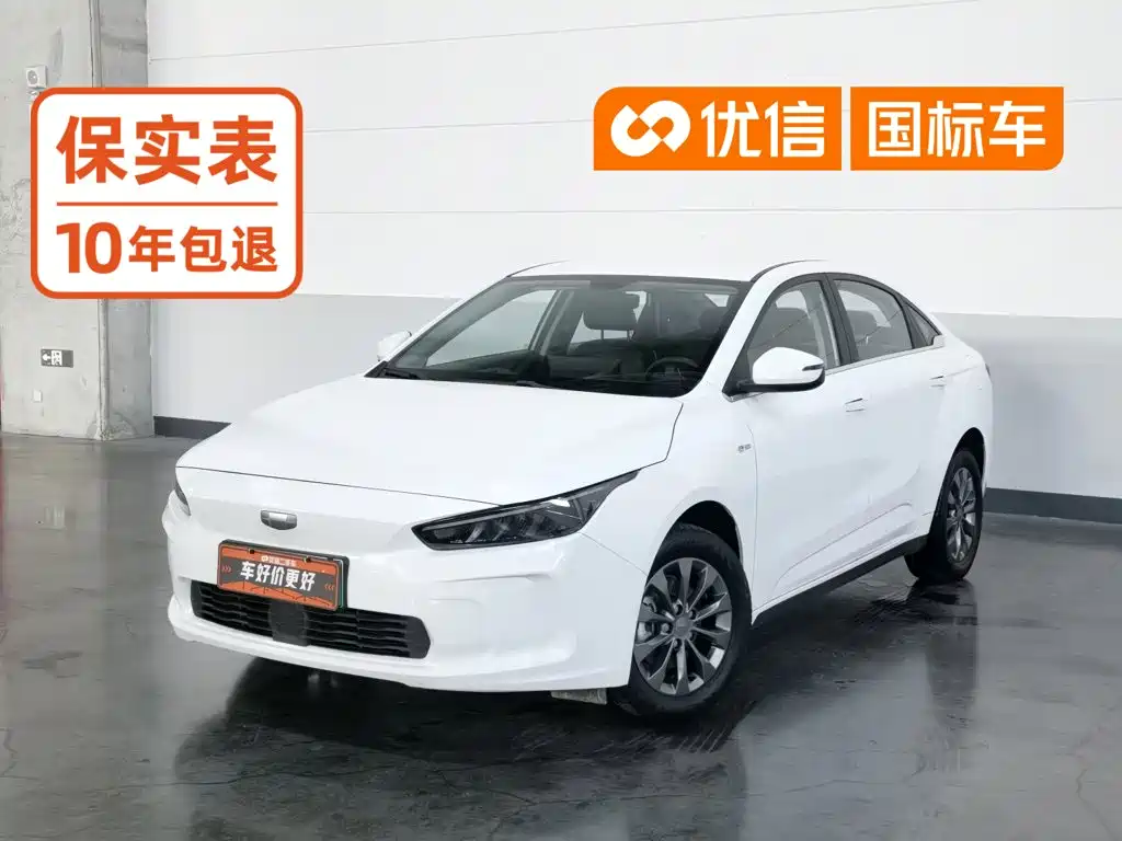 Geely Geometry A 2023 2022 Model Pro 430KM Travel Edition
