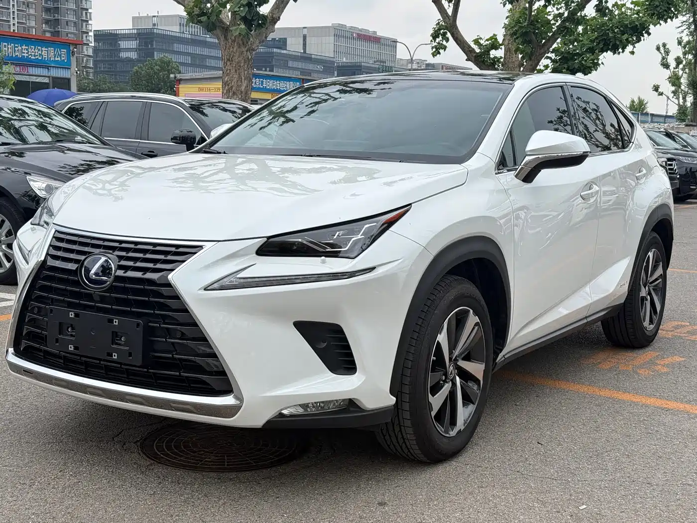 Lexus NX 2018 Model 300h AWD Fengzhi Edition China V