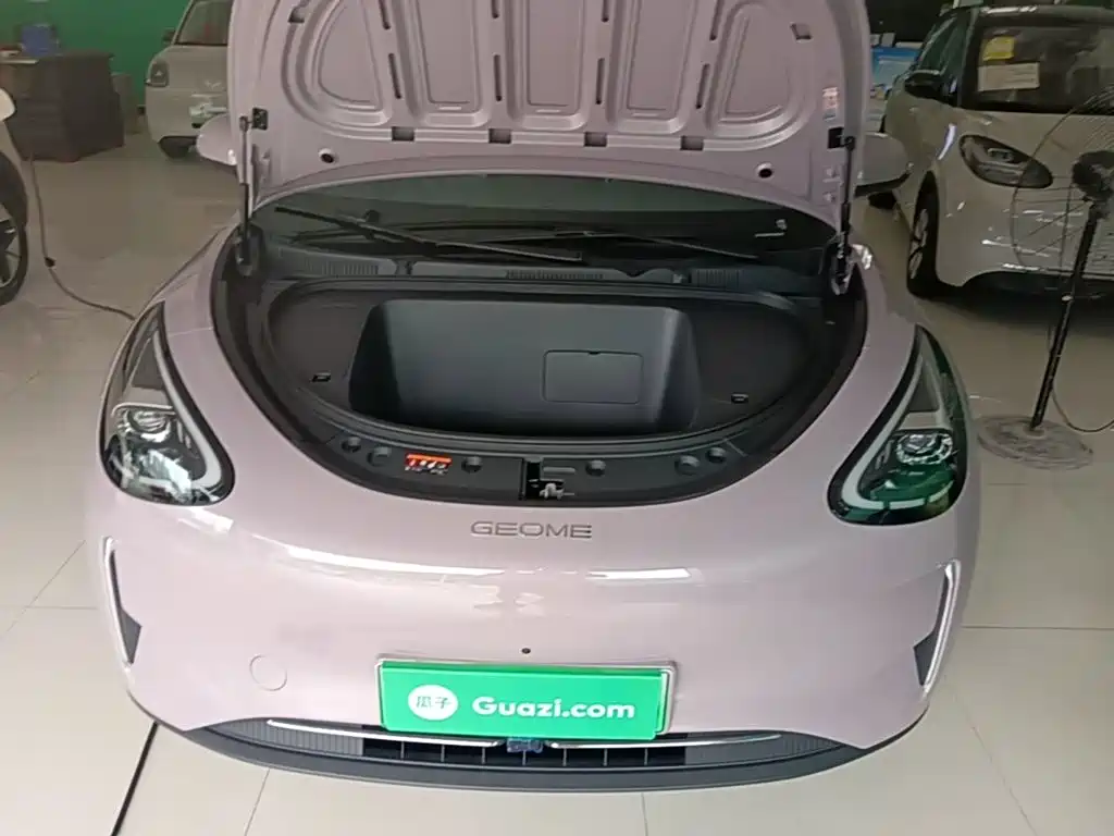 Geely Galaxy Starry Wish 2026 2026 Model 310km Dream Edition