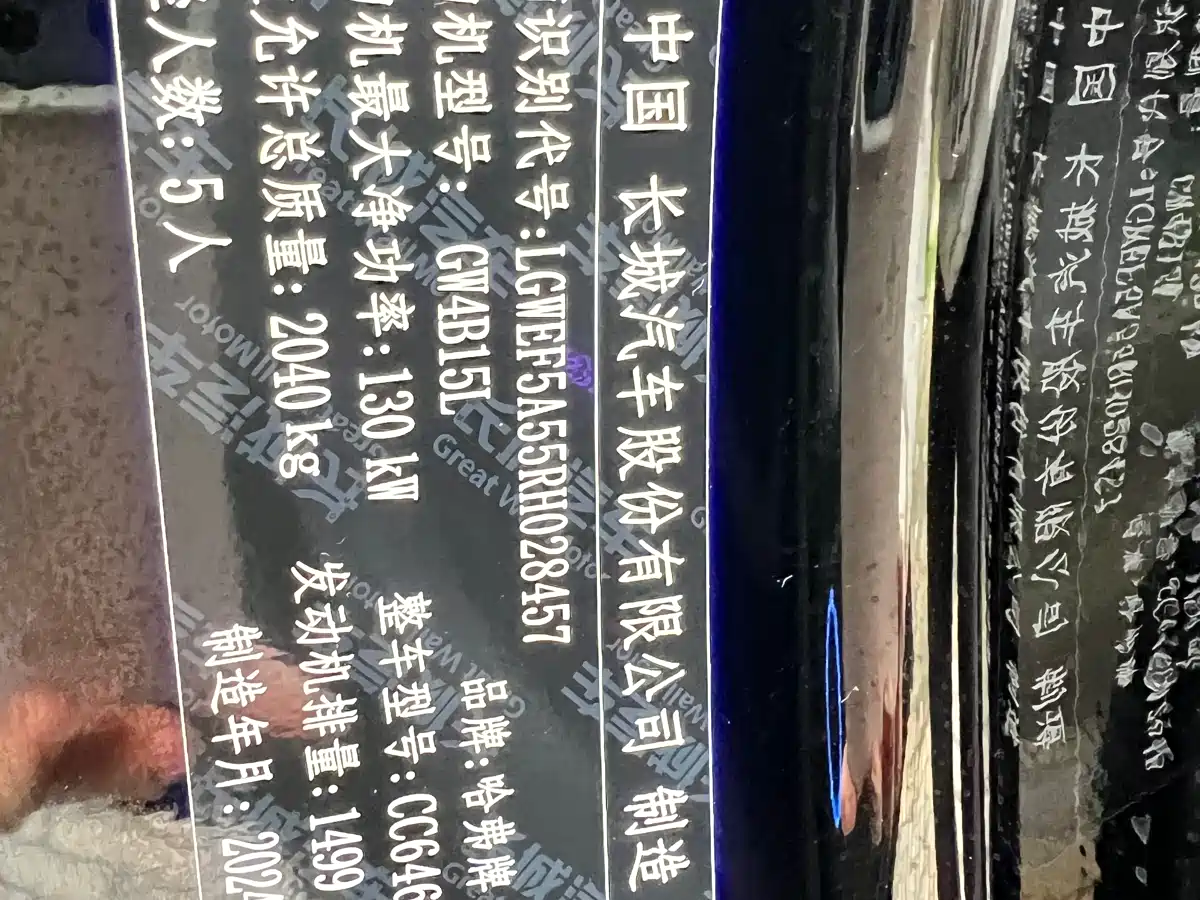 Haval Big Dog 2024 1.5T DCT Border Collie Edition фото 21