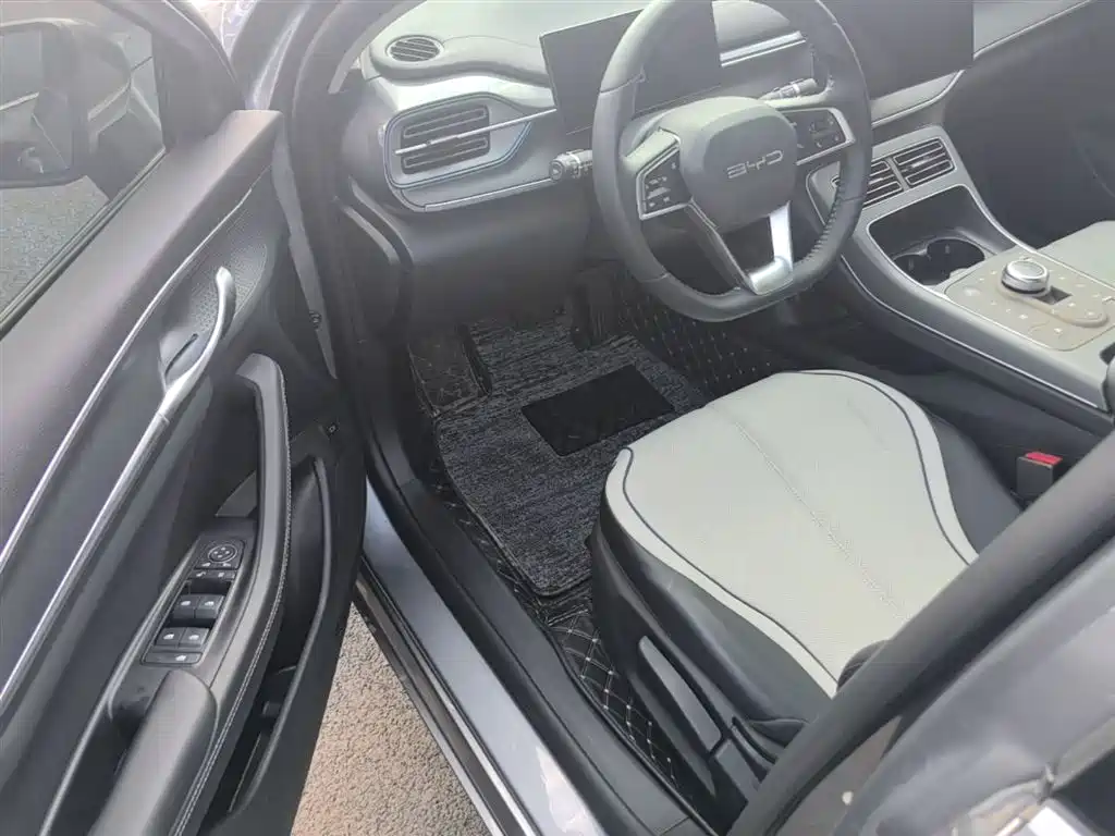 BYD Destroyer 05 2023 Champion Edition DM-i 55KM Luxury фото 16