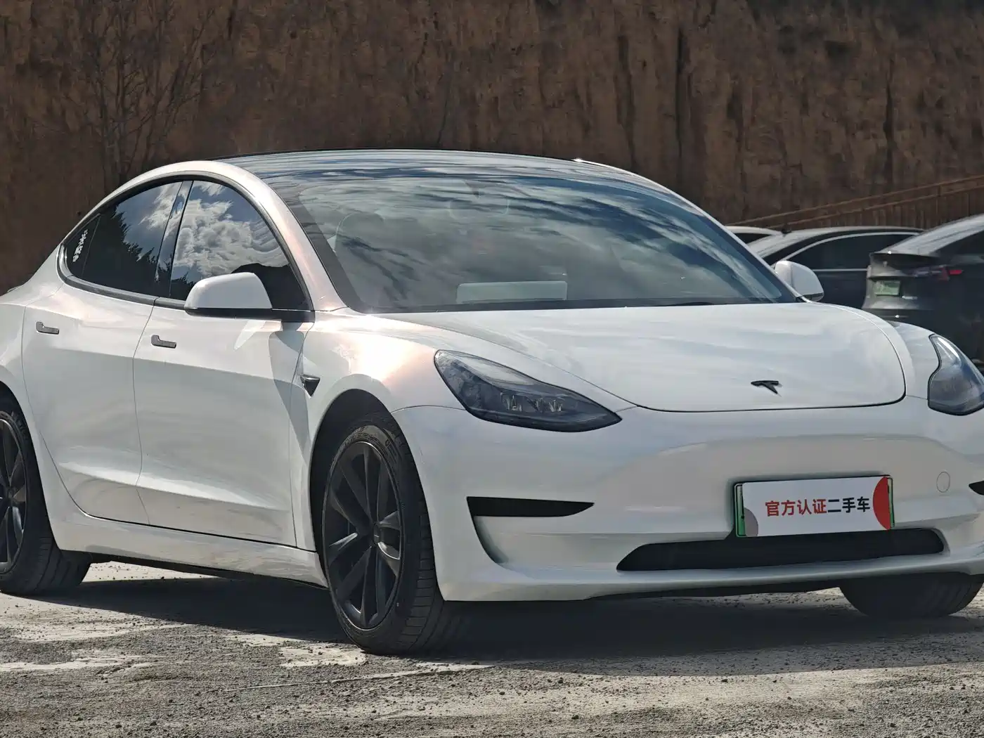 TESLA MODEL 3