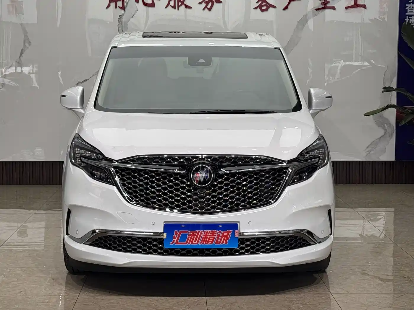 Buick GL8 2022 ES Landmark 653T Luxury фото 2