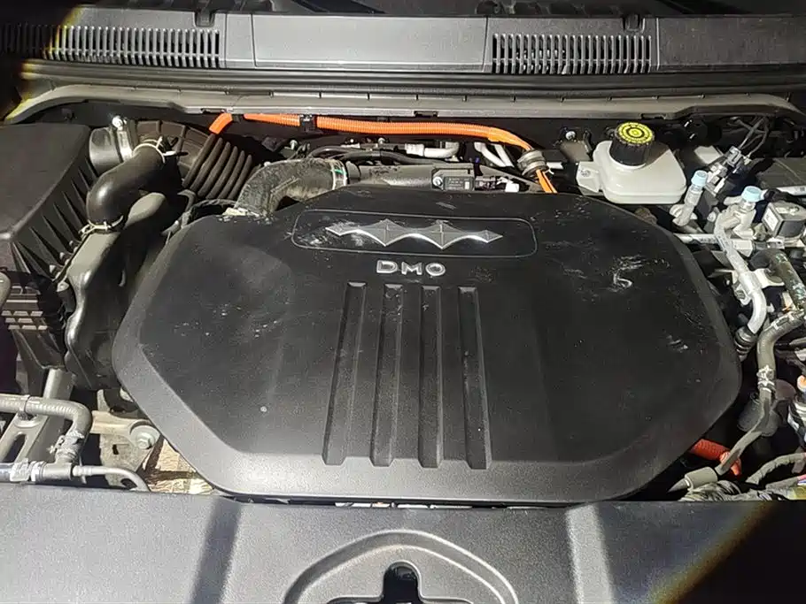 FANG CHENG BAO LEOPARD 5