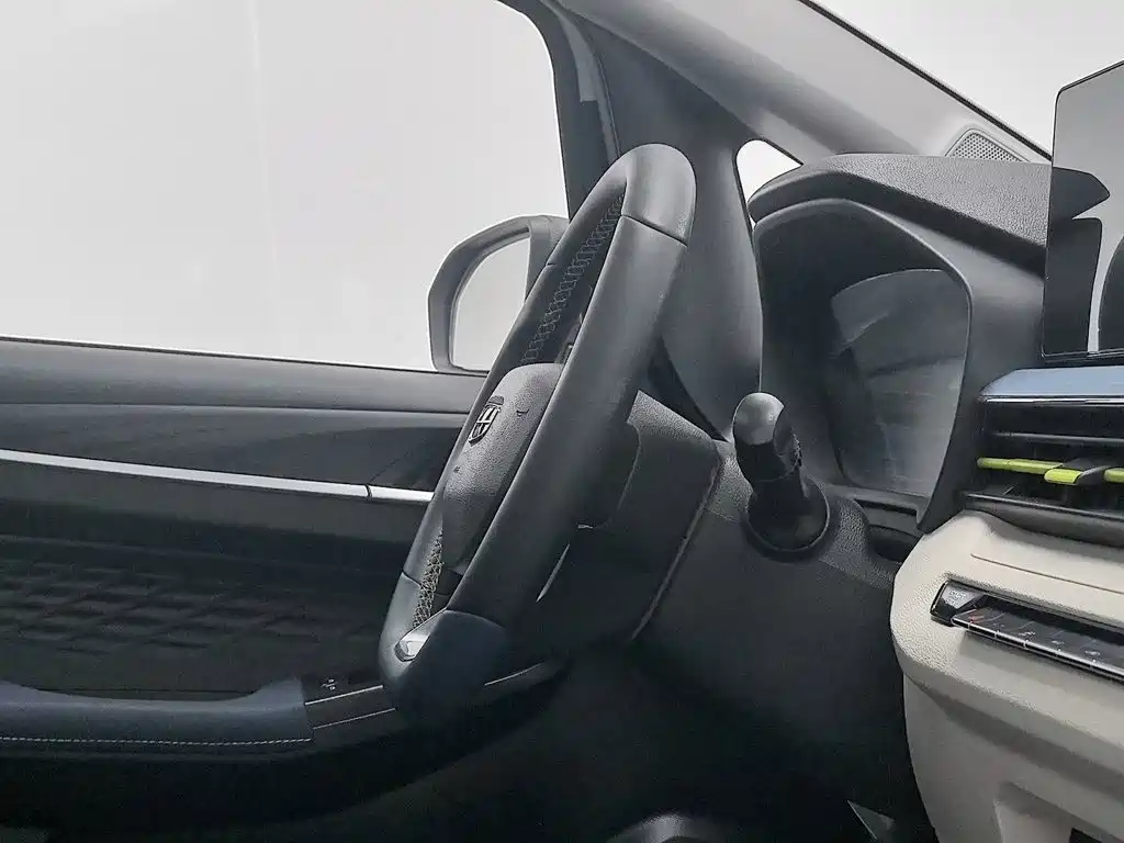 Geely Geometry EX3 Kung Fu Bull 2022 2021 Kung Fu Niu Niu