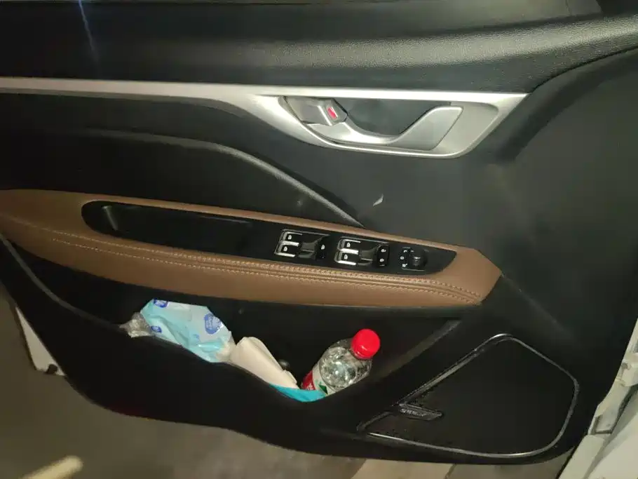 Фото 7 - Geely Vision