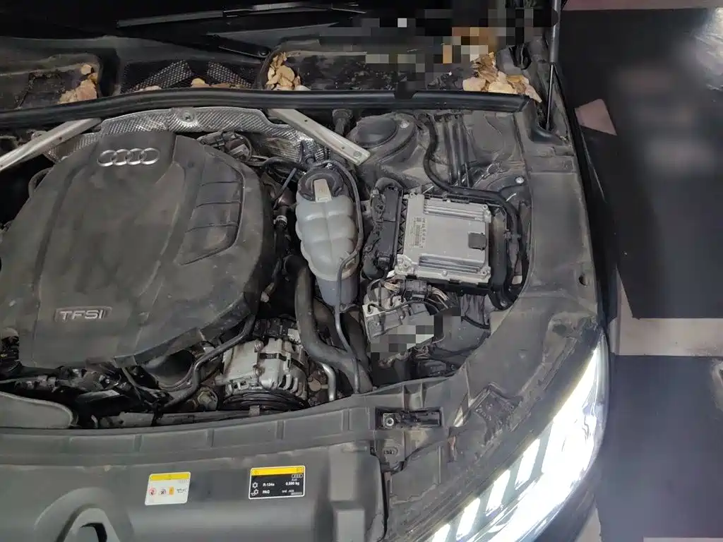Audi A4L 2022 40 TFSI Luxury Dynamic фото 22
