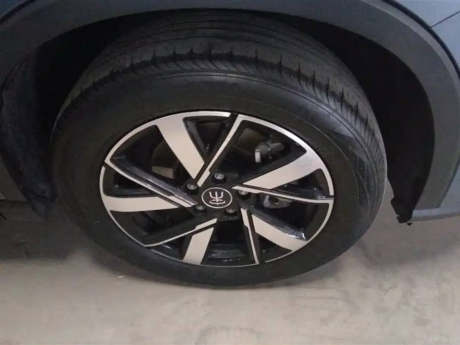 BYD Song Pro New Energy 2024 Glory Edition DM-i 71KM Surpassing фото 6