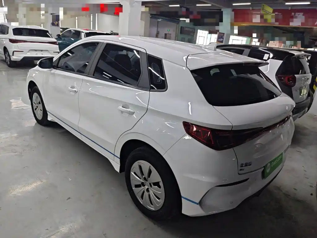BYD e2 2022 2021 Standard