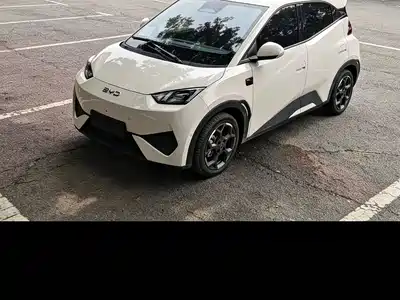 BYD Seagull