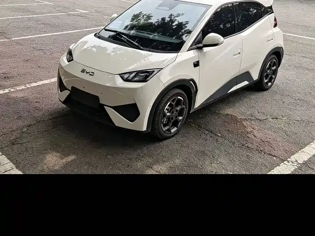 BYD Seagull Система помощи водителю, 405km, Полёт
