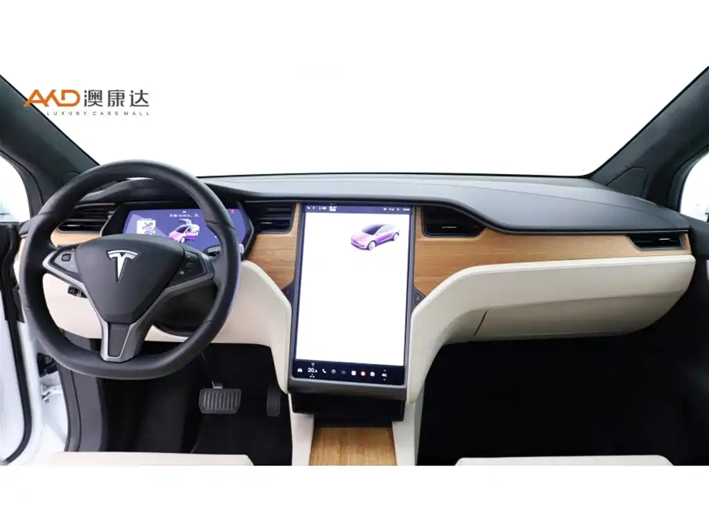 TESLA MODEL X