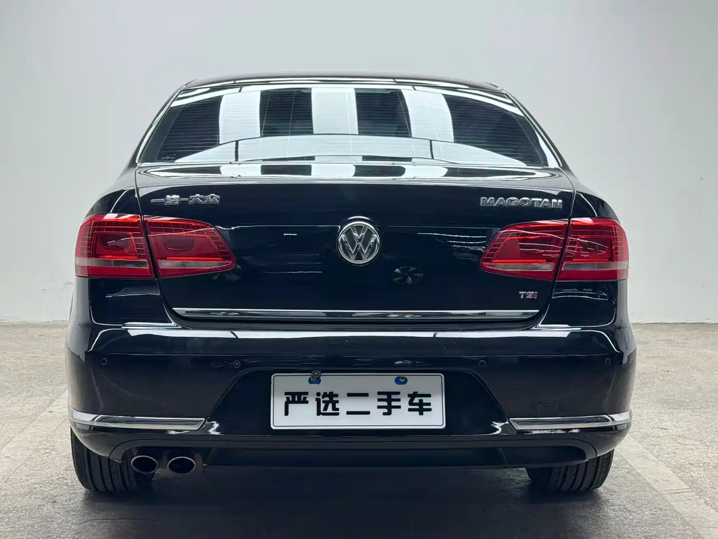 Volkswagen Magotan 2015 1.8TSI Luxury фото 5