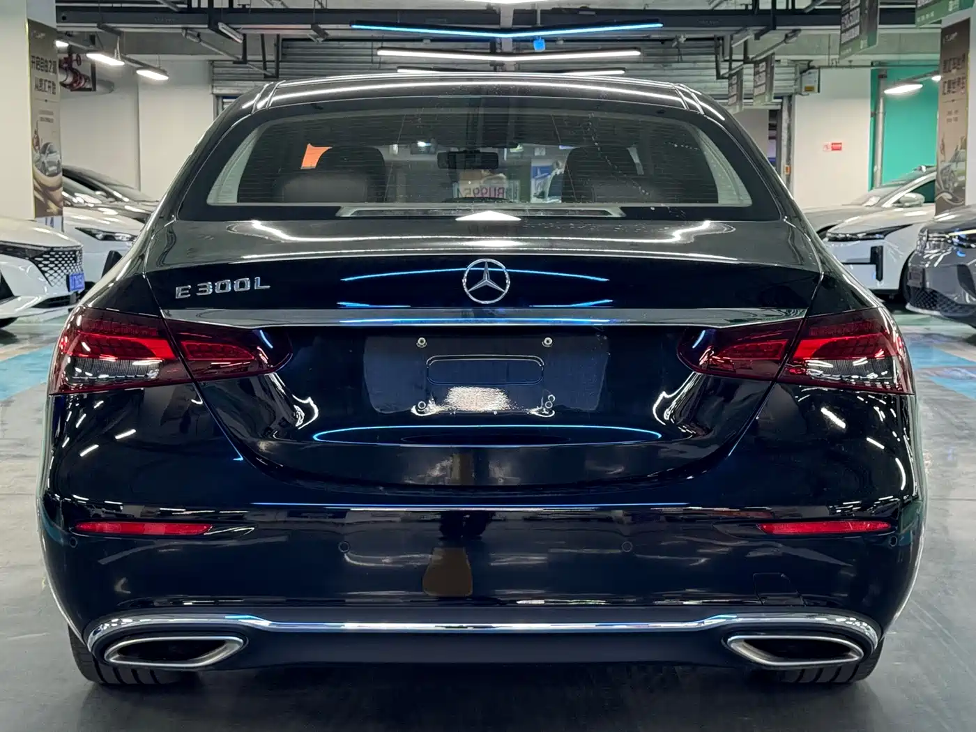 Mercedes-Benz E-Class 2023 E 300 L Luxury фото 14