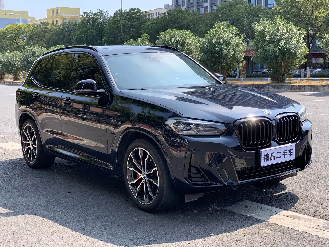 BMW X3 2022 Model Second Facelift xDrive30i Leading M Night Package фото 3