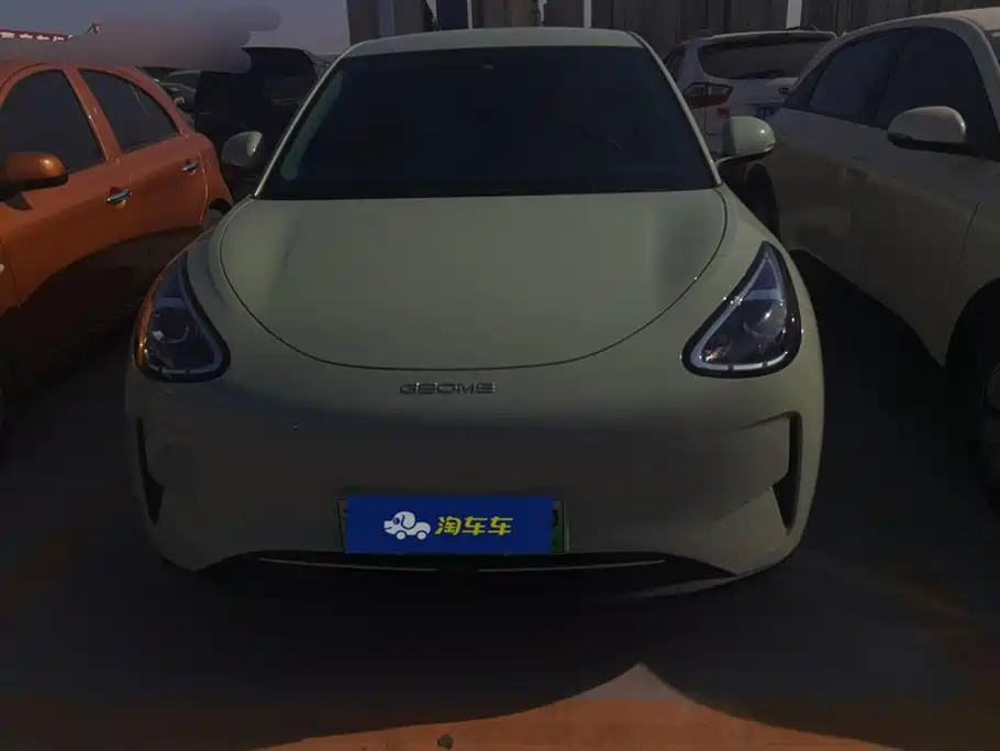 Geely Galaxy Starry Wish 2024 2025 310km Youth Edition