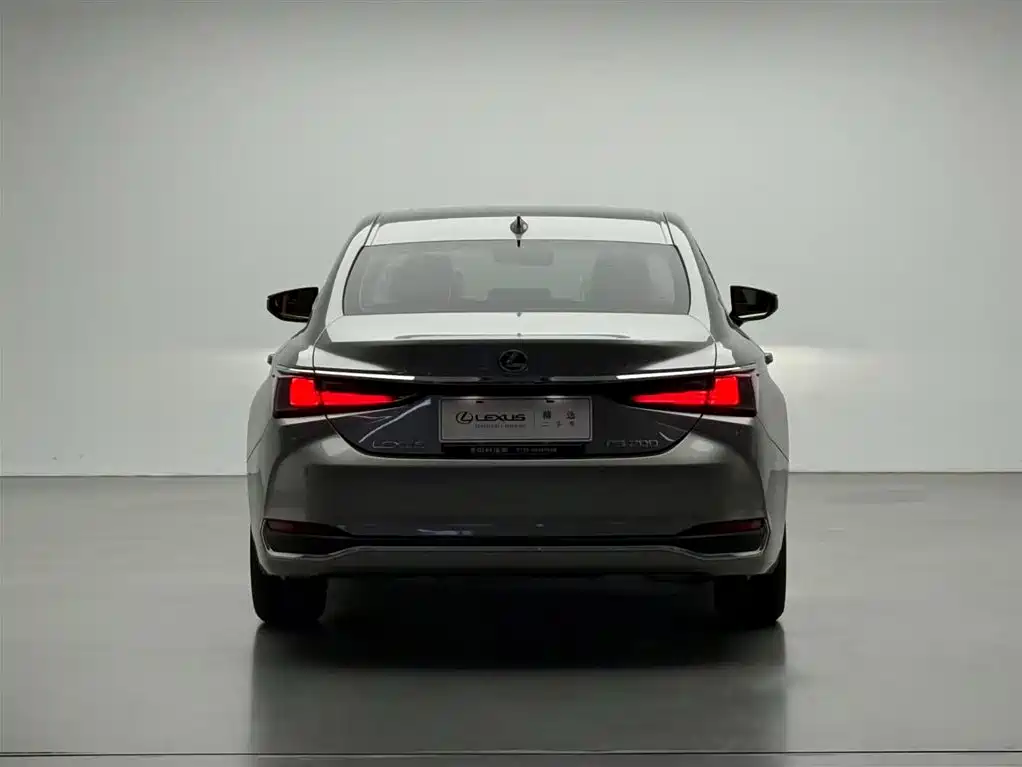 Lexus ES 2022 200 Excellence Edition фото 17