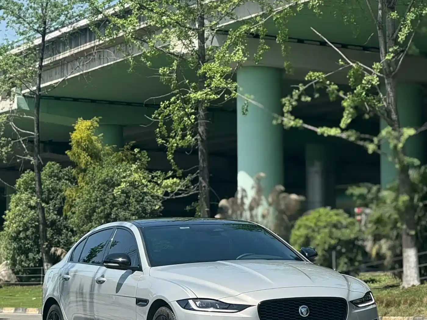 JAGUAR XEL