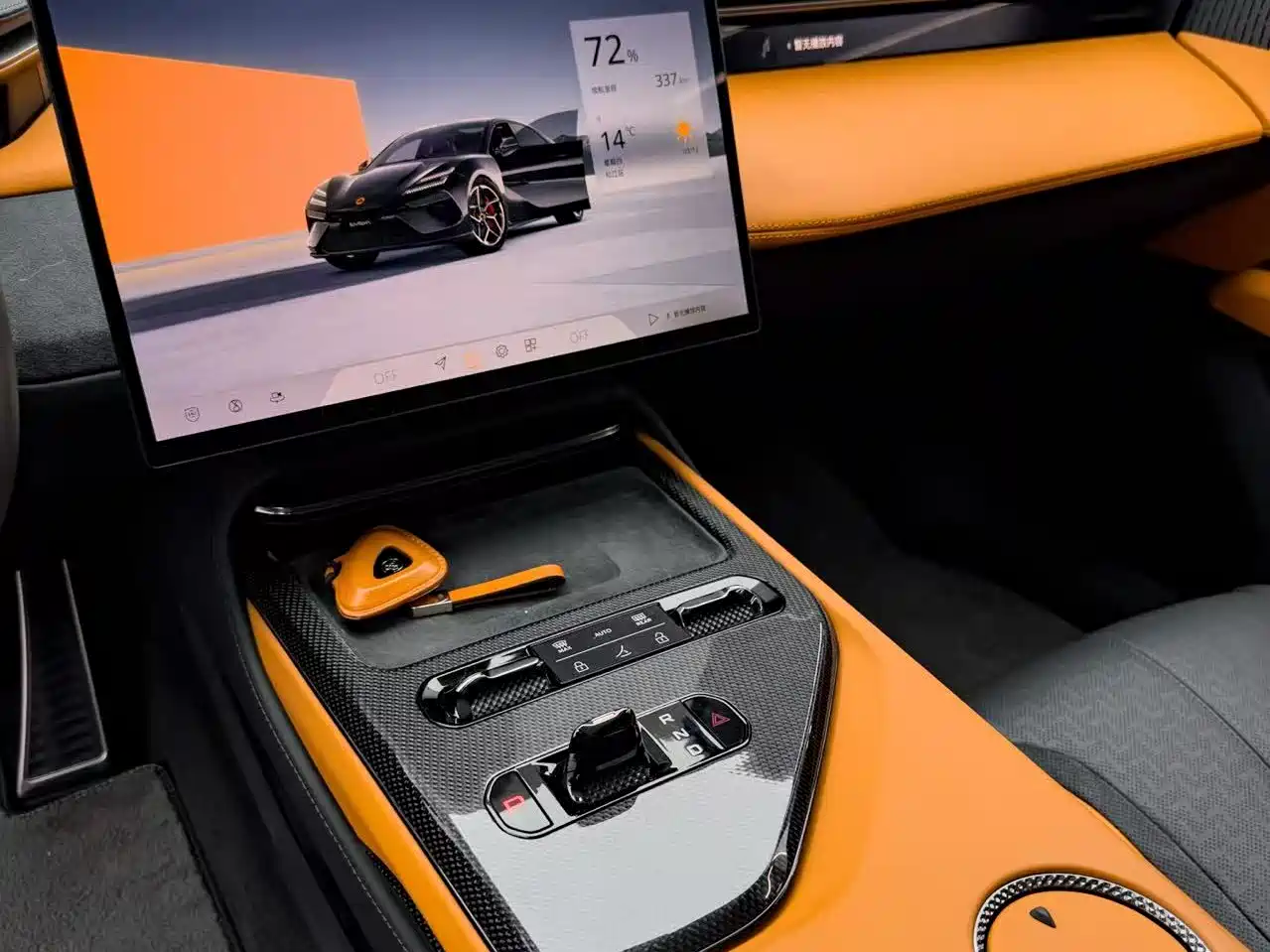 LOTUS SPORTS CAR EMEYA FLOWERS