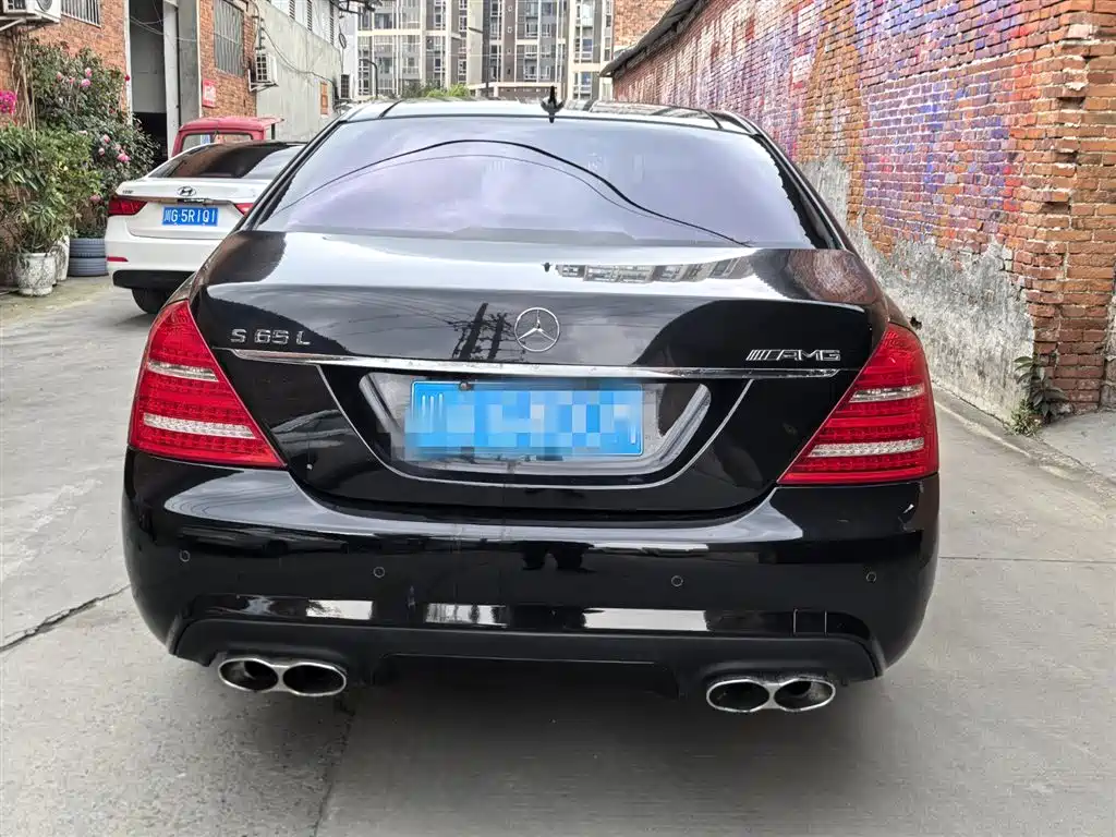 Mercedes-Benz S-Class AMG 2010 AMG S 65 фото 6