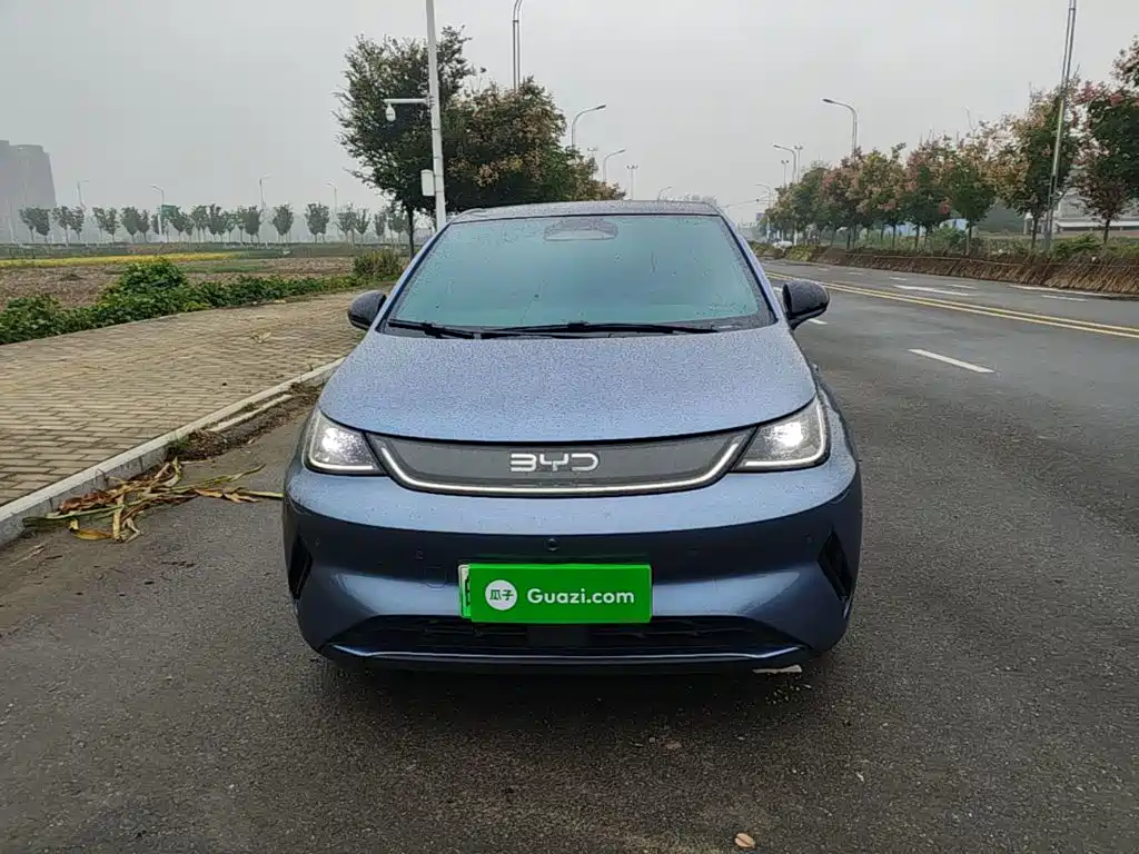 Фото 3 - BYD Dolphin