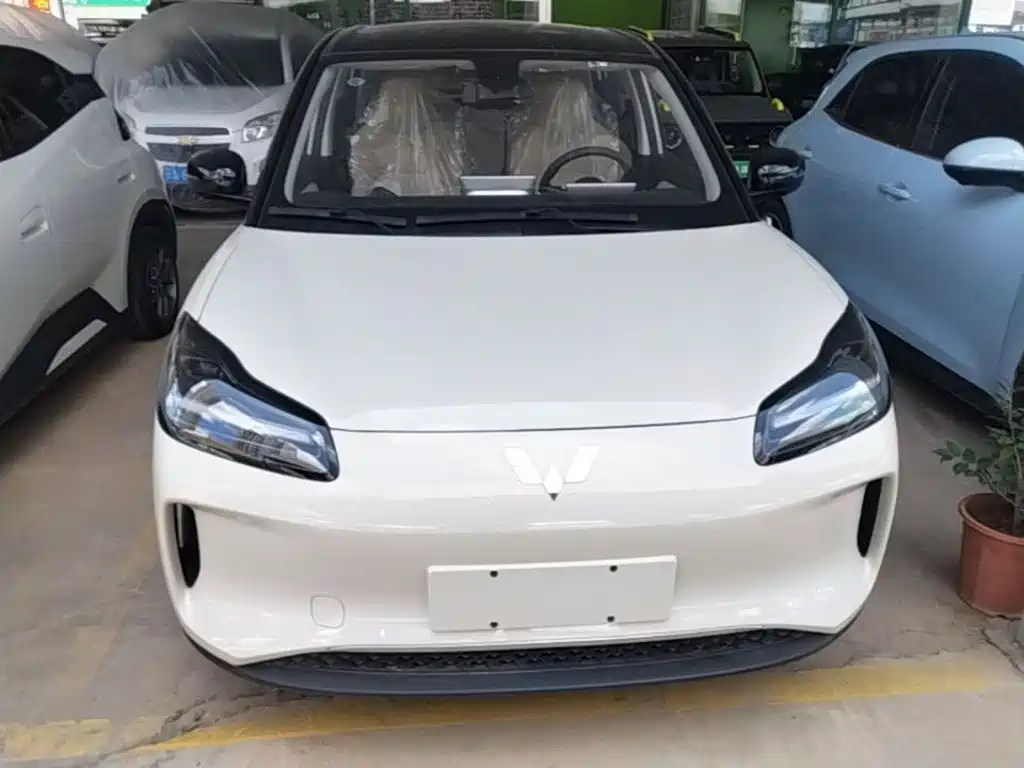 2026 Wuling Motors Wuling Binguo PLUS