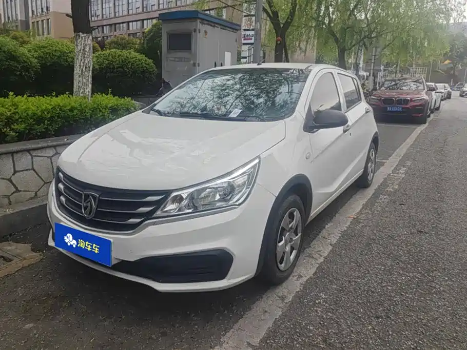 BAOJUN 310