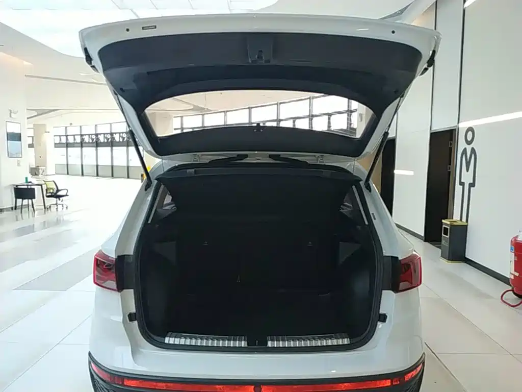 Photo 19 - Jetta VS5