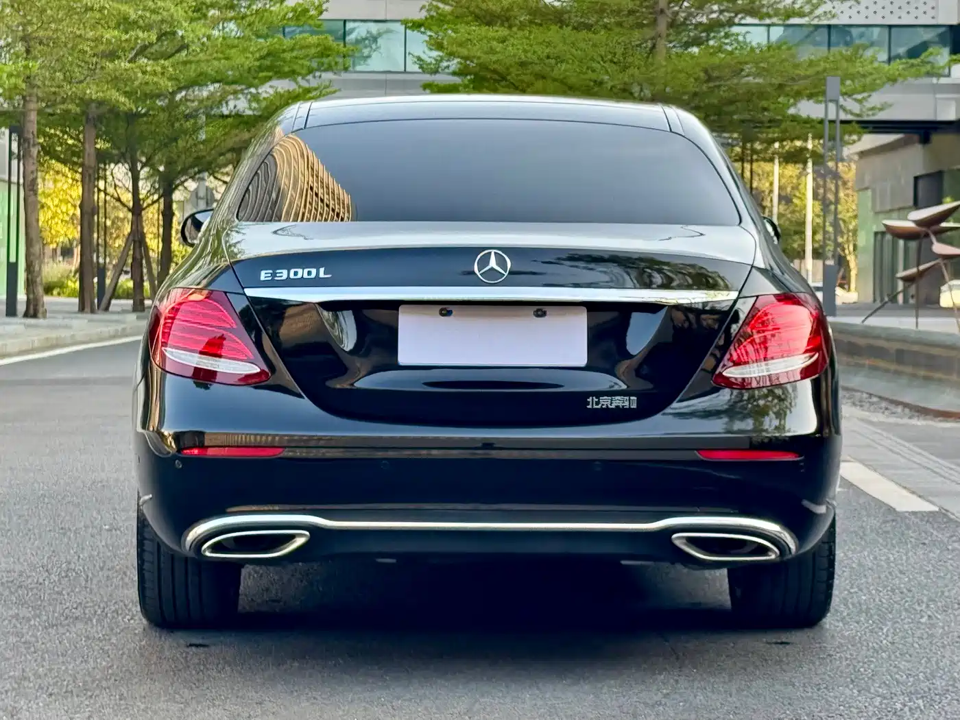 Mercedes-Benz E-Class 2019 Facelift E 300 L Luxury фото 31