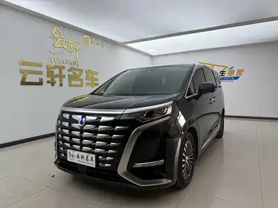 Denza D9