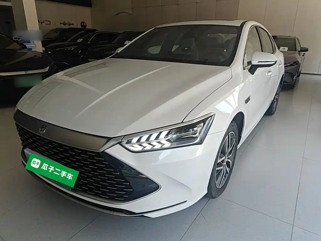 BYD Qin PLUS 2023 Champion Edition DM-i 120KM Surpassing Type