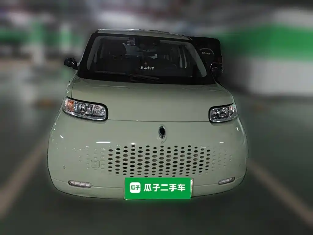 Ora White Cat 2021 2020 401km Flagship Model