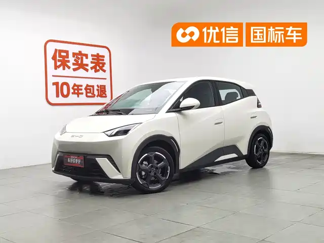 BYD Seagull 2023 Freedom Edition — фото 1