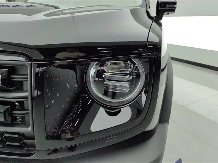 Haval Big Dog 2026 Model 1.5T High Configuration фото 5