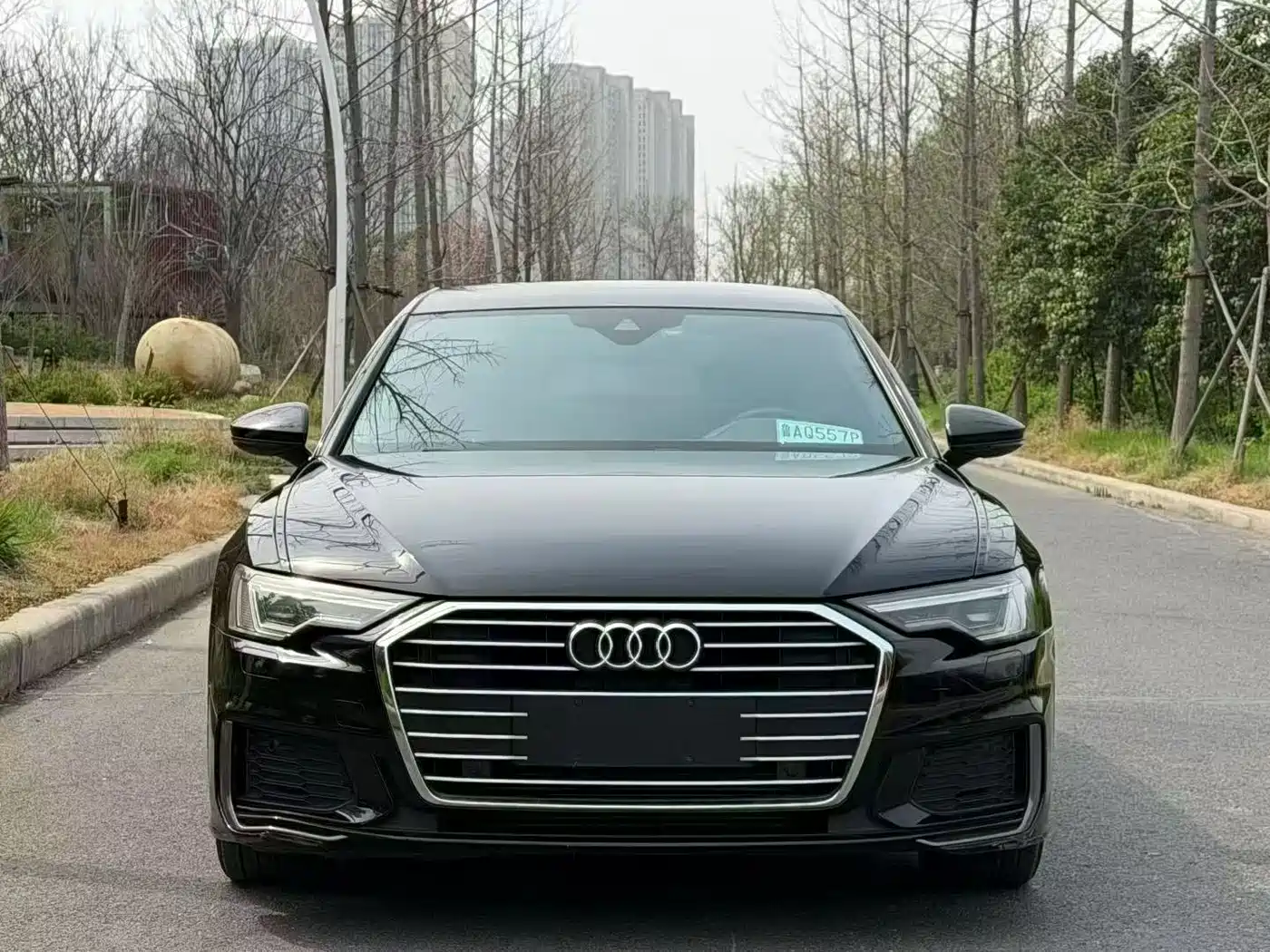 Audi A6L 2020 40 TFSI Luxury Dynamic фото 2