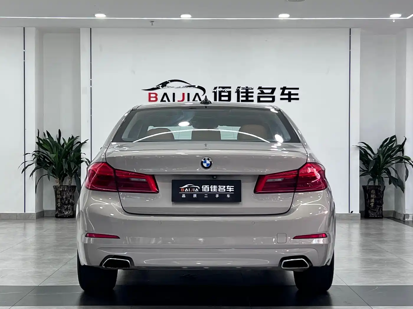 BMW 5 Series 2018 528Li Launch Special Edition фото 6