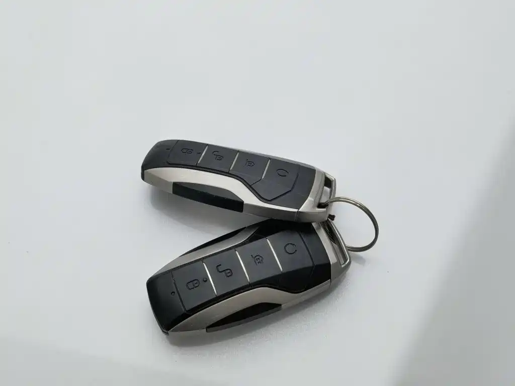 Photo 19 - BYD Tang