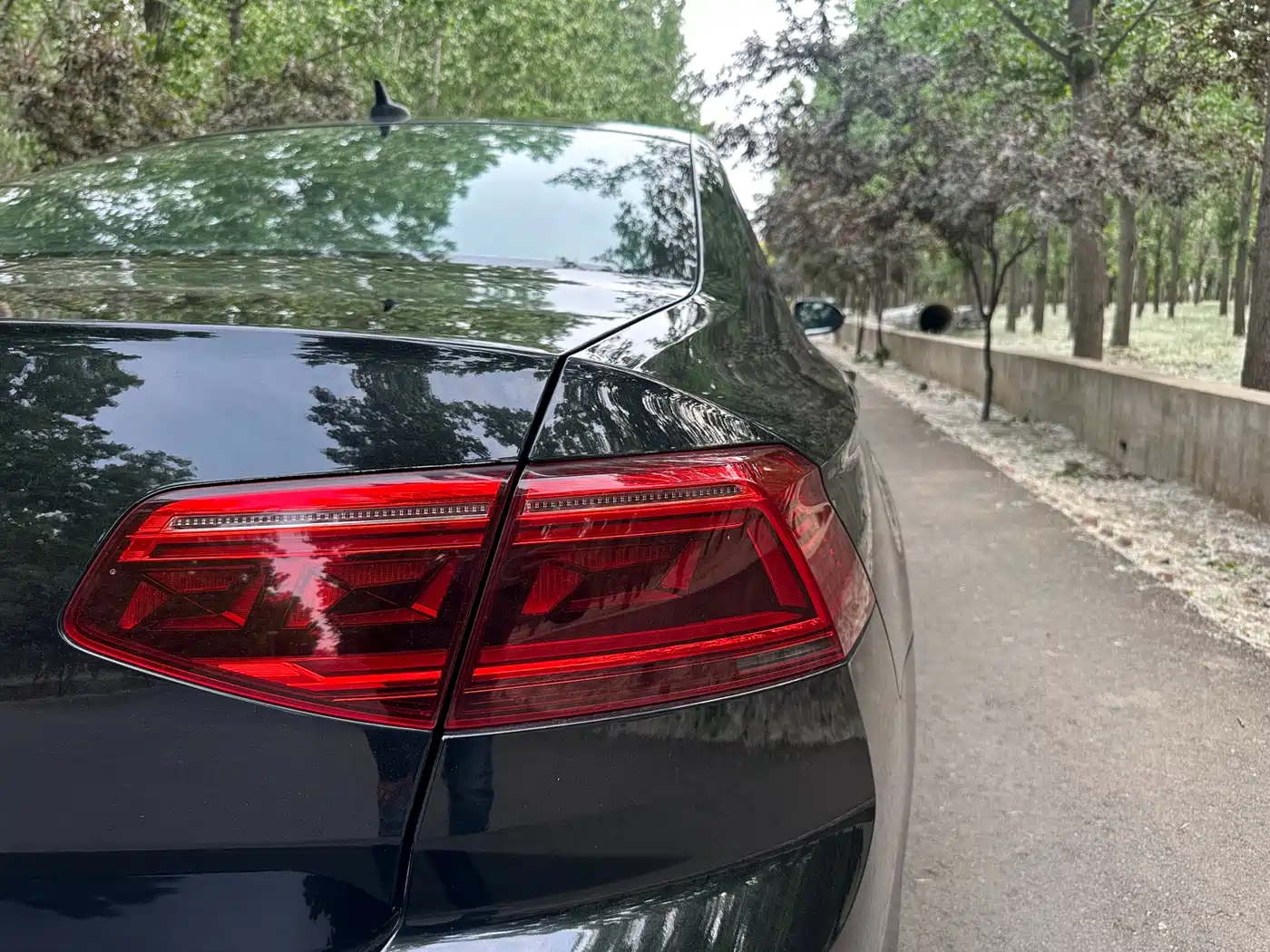 Volkswagen Magotan 2020 280TSI DSG Comfort фото 17