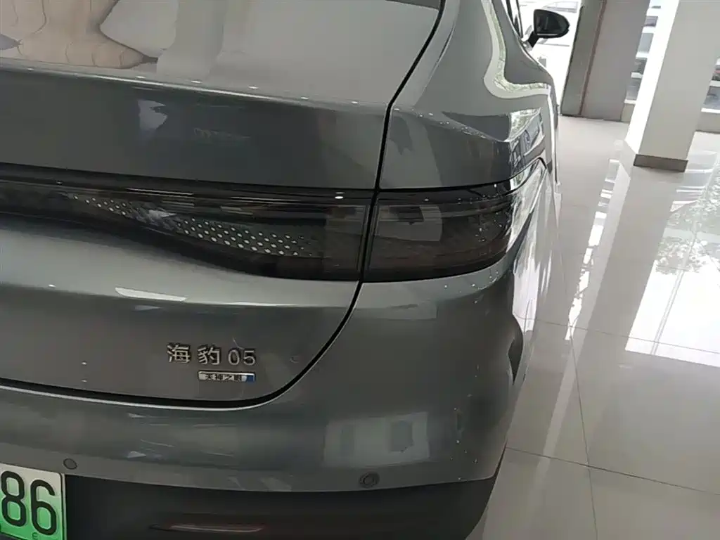 BYD Hai Bao 05 DM-i 2025 DM-i Smart Driving Edition 120KM Flagship фото 8