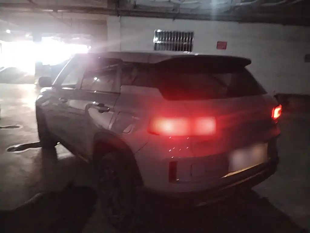 Фото 5 - Geely ICON