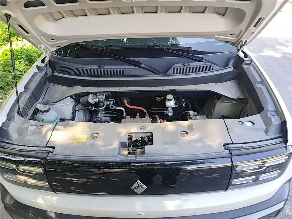 Baojun Yueye Plus 2025 2026 301km Flagship