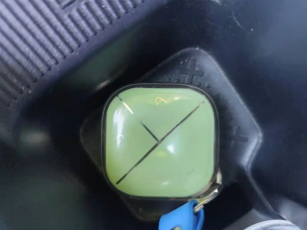 Baojun Yueye Plus 2025 2026 301km Flagship