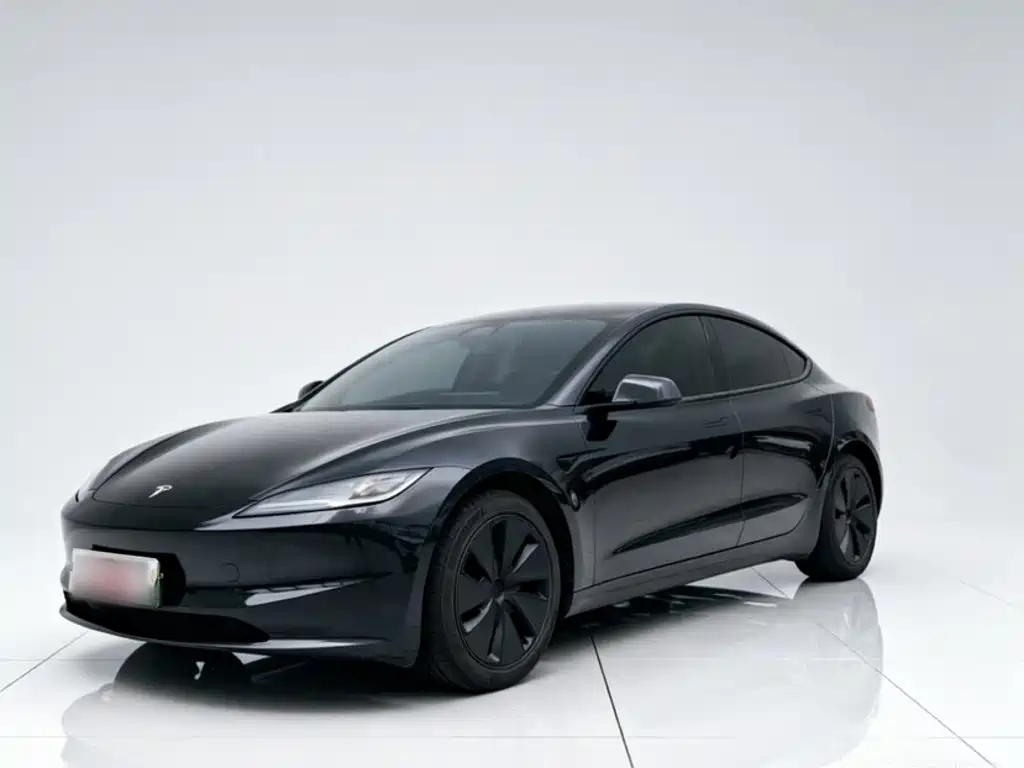 Tesla Model 3 2025 Model Rear-Wheel Drive Edition