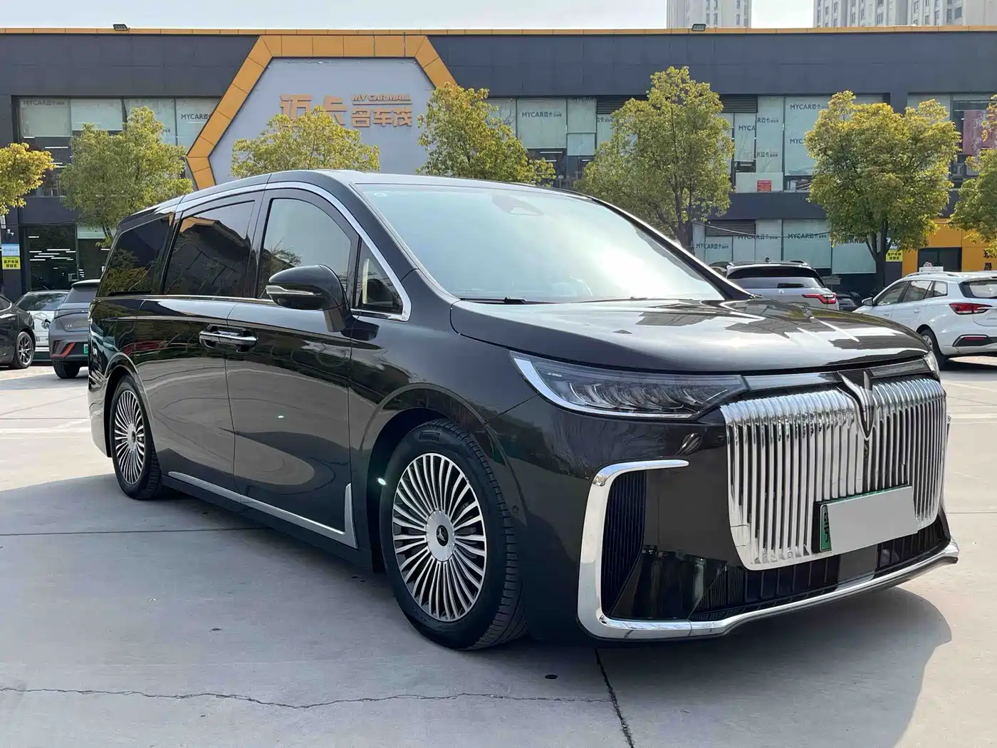 Voyah Auto Voyah Dreamer 2025 PHEV AWD Flagship Kunpeng Edition фото 8