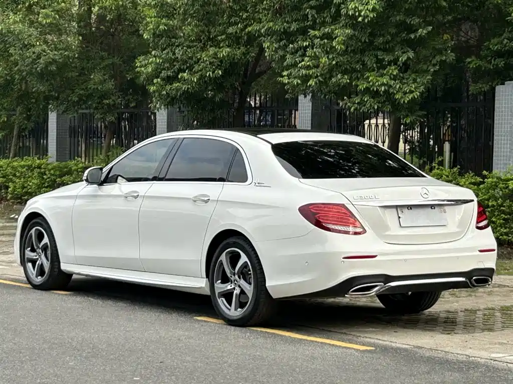 Mercedes-Benz E-Class 2019 E 300 L Sport Luxury фото 4