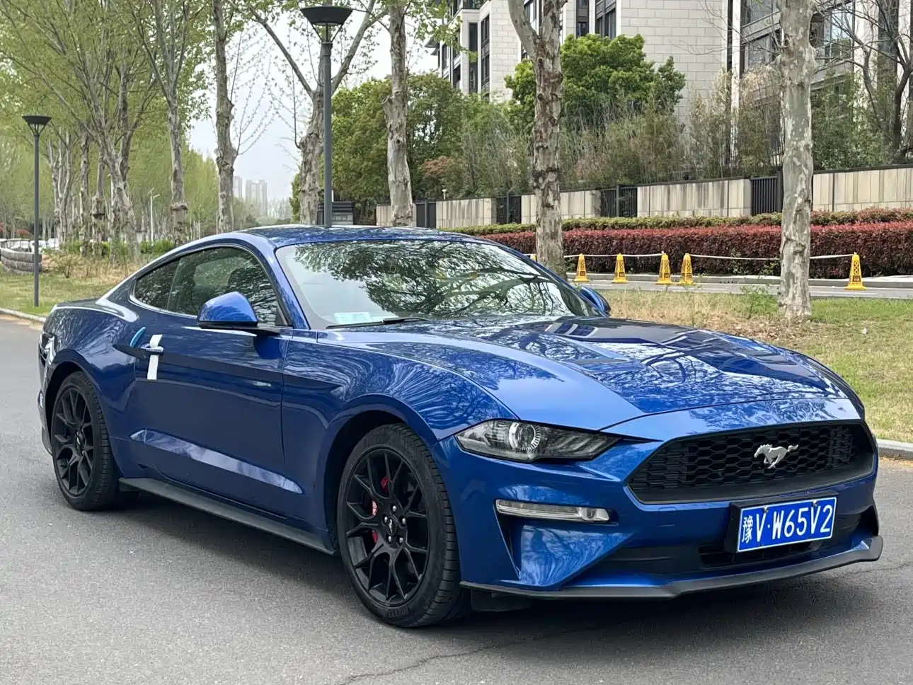 FORD MUSTANG
