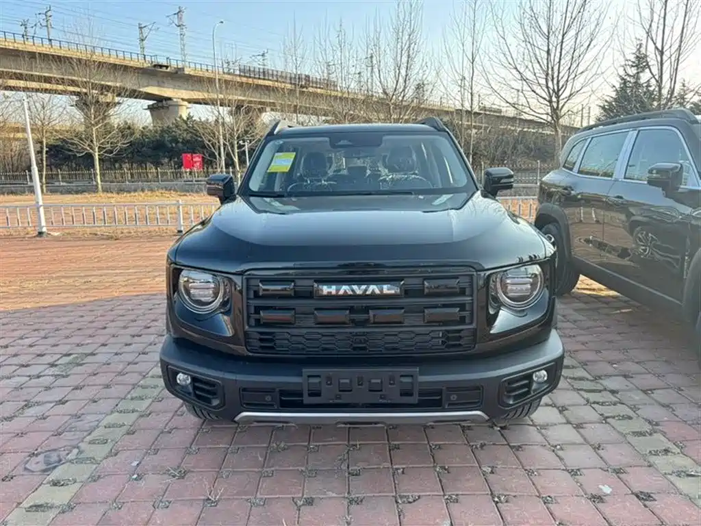 HAVAL BIG DOG