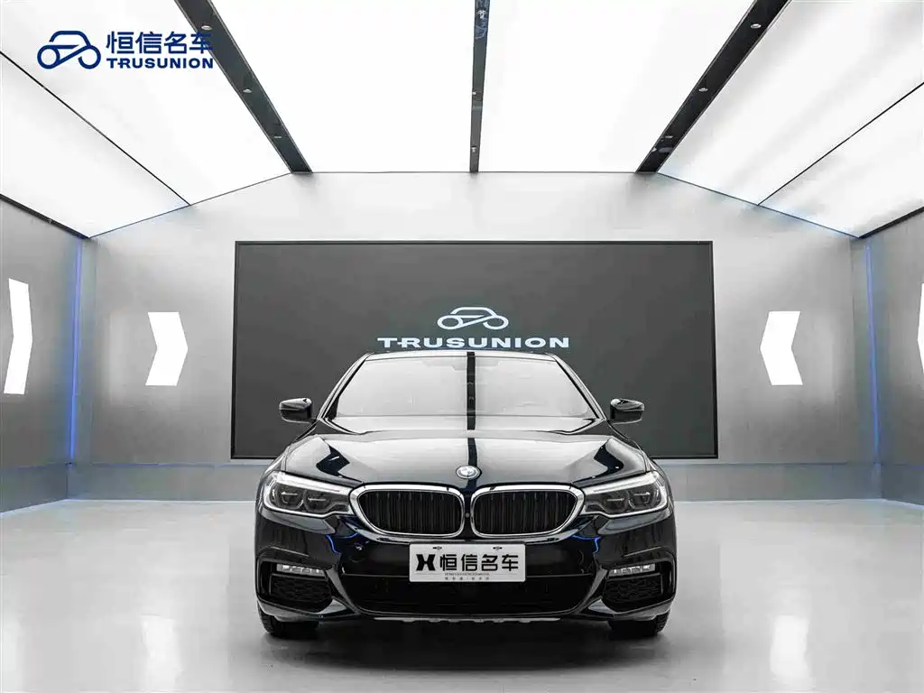 BMW 5 Series (Import) 2019 530i M Sport Package фото 2