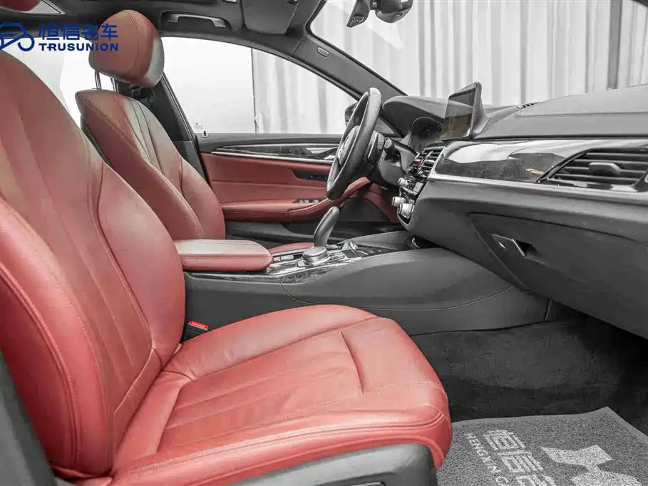 BMW 5 Series 2019 530Li Leading M Sport Package фото 15