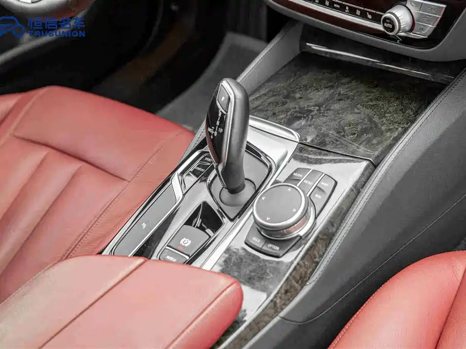 BMW 5 Series 2019 530Li Leading M Sport Package фото 19